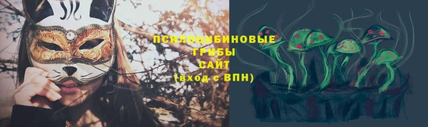 mdma Богданович