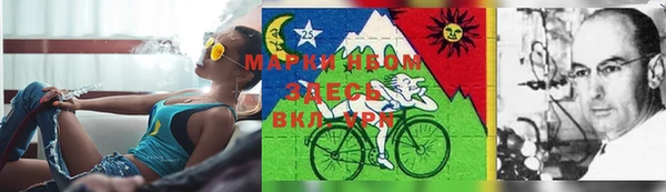 прущая мука Снежногорск
