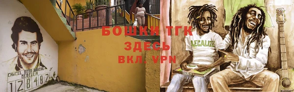 крисы Богородск