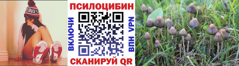 Галлюциногенные грибы MAGIC MUSHROOMS  как найти закладки  Обь 