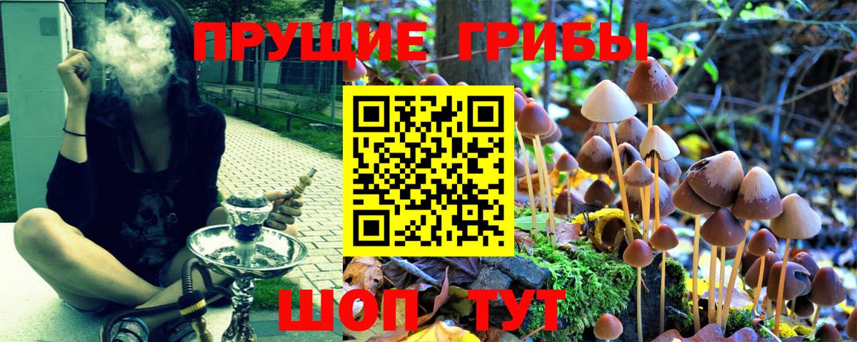 Обь  Галлюциногенные грибы Magic Shrooms  Вход с VPN 